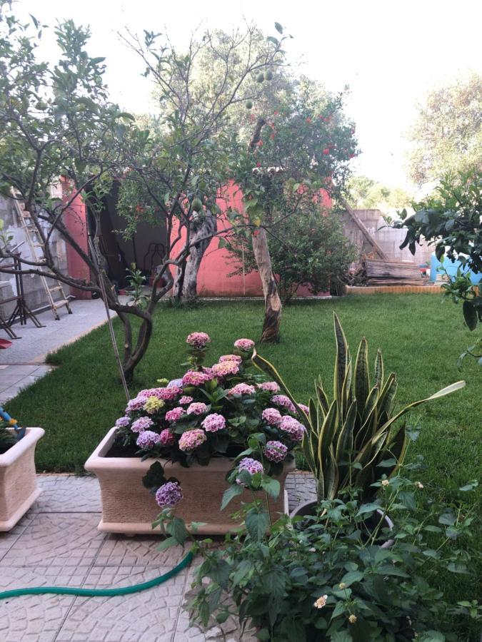 Paese Museo Apartment San Sperate Ngoại thất bức ảnh